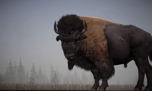 Скриншот игры scr3