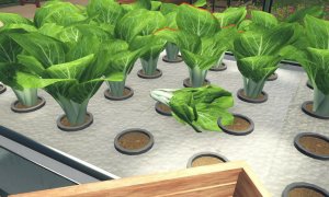 Скриншот игры scr7