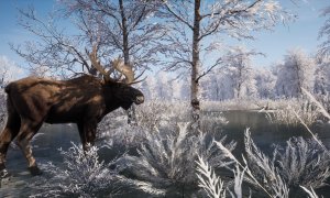 Скриншот игры scr3