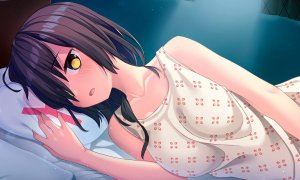 Скриншот игры scr2