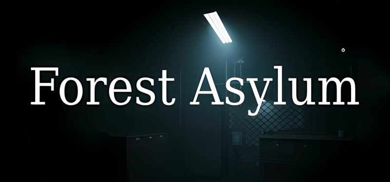 Forest Asylum Build 17383565