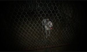 Скриншот игры scr3