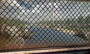 Скриншот игры scr4