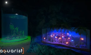 Скриншот игры scr7