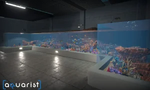 Скриншот игры scr8