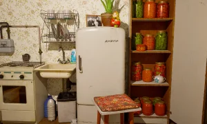 Скриншот игры scr1