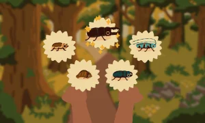 Скриншот игры scr8