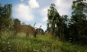 Скриншот игры scr5